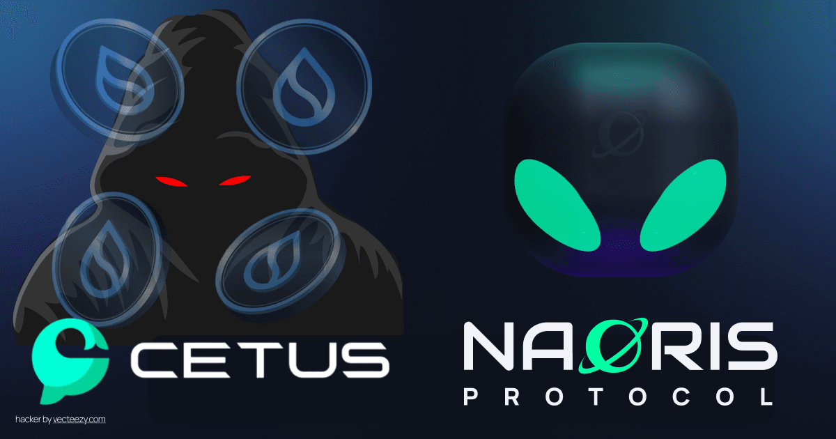 The Cetus Exploit: A $220M Cautionary Tale for Web3 Security